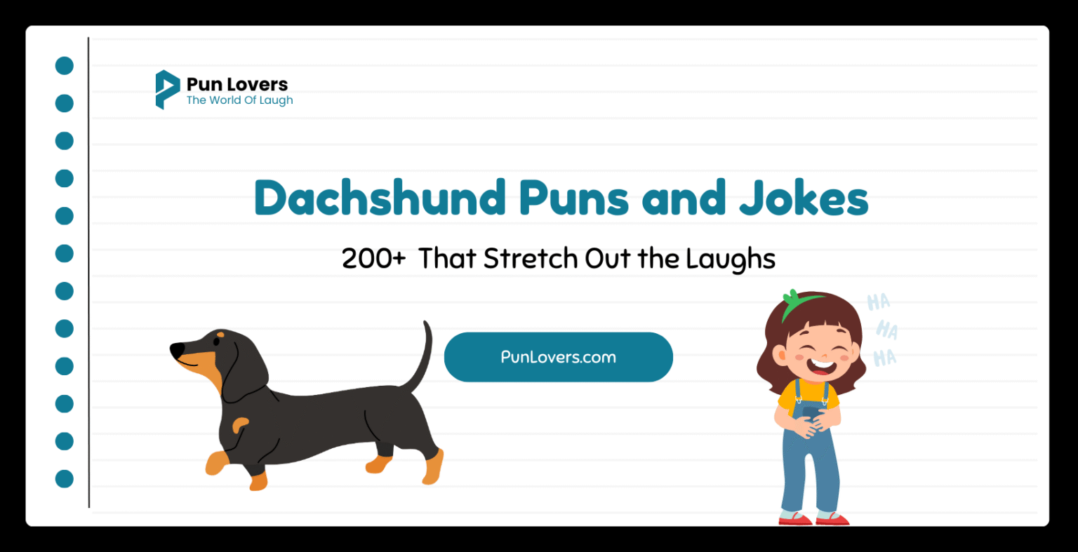 200+ Dachshund Puns and Jokes That Stretch Out the Laughs Dachshund Puns and Jokes